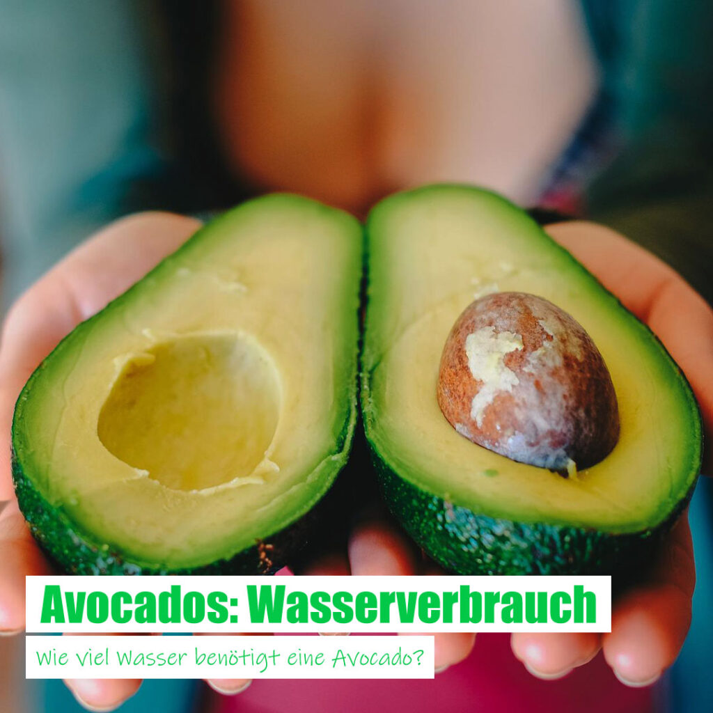 Wasserverbrauch für Avocados