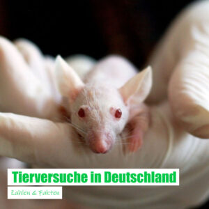 Tierversuche in Deutschland