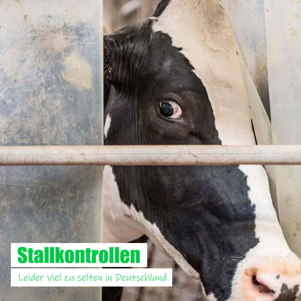 Stallkontrollen sind selten